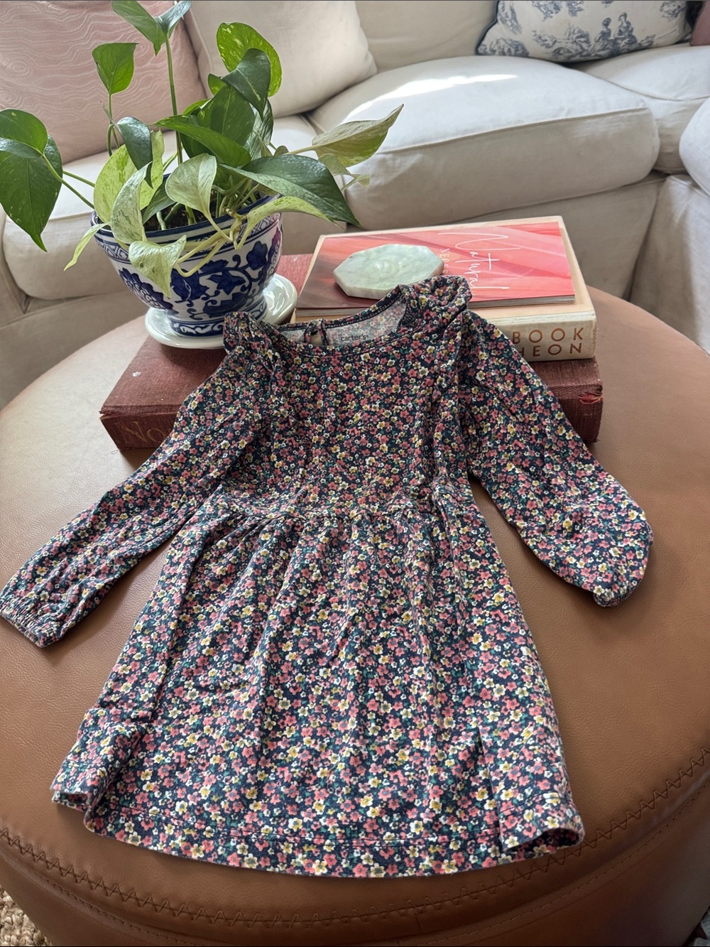 Carter's Navy Floral Ruffle-Trim Long Sleeve Dress